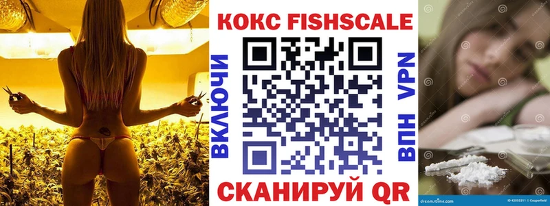 закладка  Талица  COCAIN FishScale 