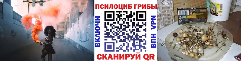 Галлюциногенные грибы Cubensis  Талица 